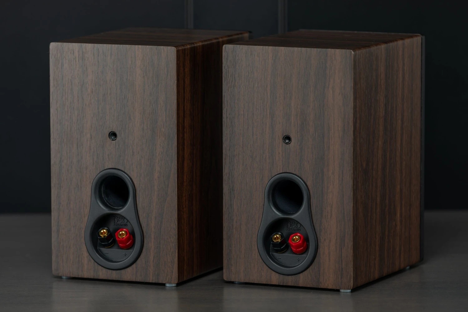 Basic PSB Bookshelf Speaker Package 5 Basic PSB Bookshelf Speaker Package - Image 5