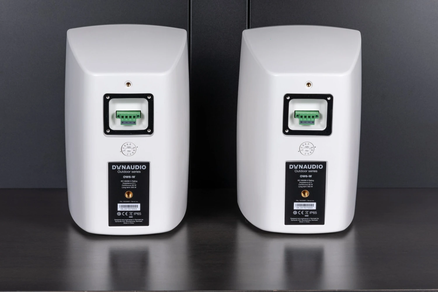 Dynaudio OW6/OW8 Outdoor Speakers 8 Dynaudio OW6/OW8 Outdoor Speakers - Image 8