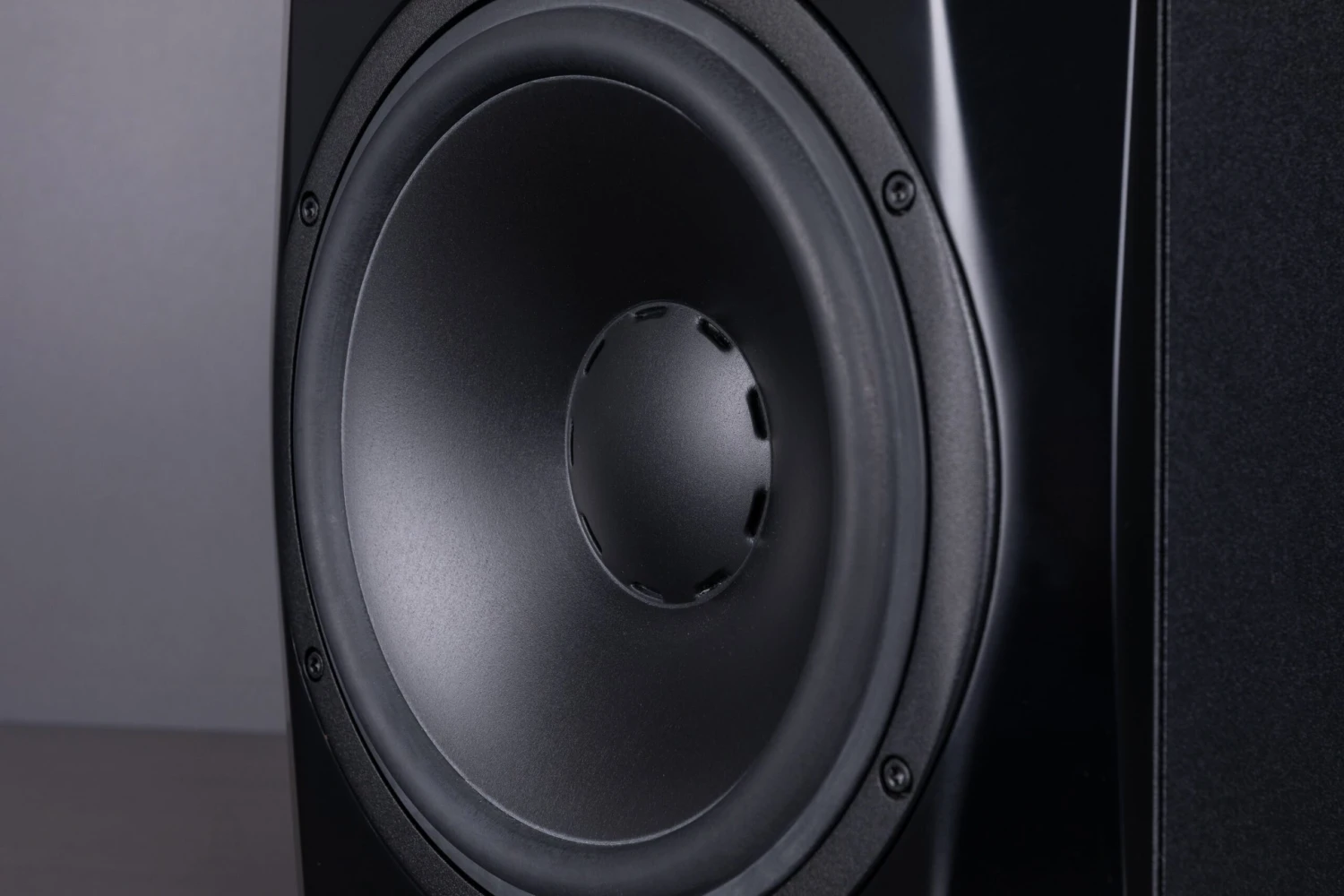 Dynaudio Subwoofers 17 Dynaudio Subwoofers - Image 17